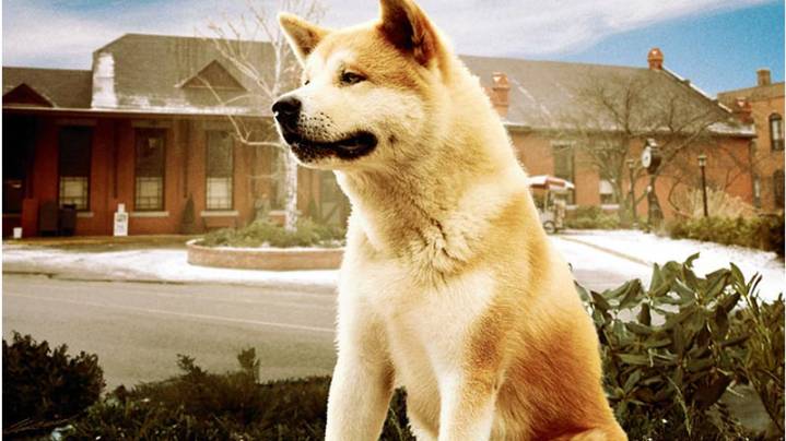 Хатико: Самый верный друг / Hachiko: A Dog's Story (русский трейлер)