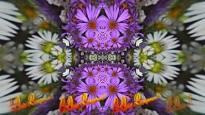 С Днём Рождения 4!!! Осенняя краса!