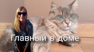 Подарок от соседей. Домашний царь.