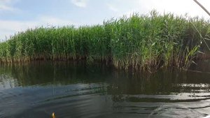 2025.06.17 Пруды. Спиннинг. Лодка - "Месть щуки"