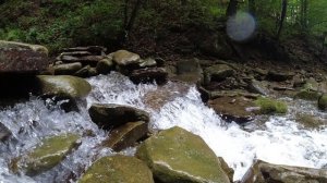 Гороховая балка