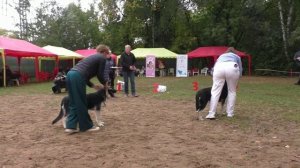 Сравнение СБ