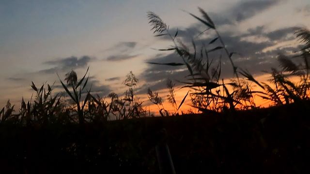 открытие охоты на утку 2025 смотреть онлайн