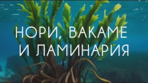 Нори, Вакамэ, Ламинария: Битва Водорослей. Какая самая полезная?