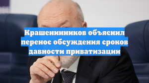 Крашенинников объяснил перенос обсуждения сроков давности приватизации