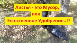 Предложение Министерству Экологии и Городским Депутатам - тема "Здоровая Земля!"