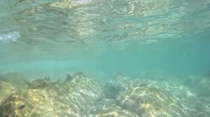 ПОД ВОДОЙ