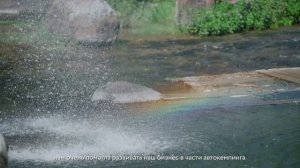 Волосовский центр поддержки предпринимательства