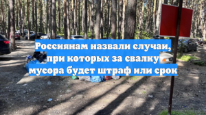 Россиянам назвали случаи, при которых за свалку мусора будет штраф или срок