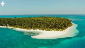 Alan Walker, David Guetta, Coldplay, Martin Garrix & Kygo, The Chainsmokers Style 🔥 Summer Vibes #7