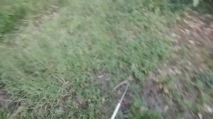 двойное оружие против сорняка