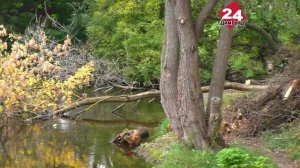 В соцсфере города станет теплее