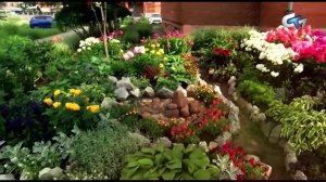 Северск сегодня 230925