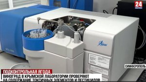 ТВ: Специалисты ЦОК АПК исследуют крымский виноград урожая 2025 года