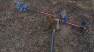 Наш поиск . В приморье .