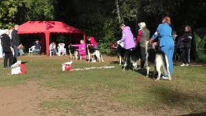 Класс открытый 2 группа