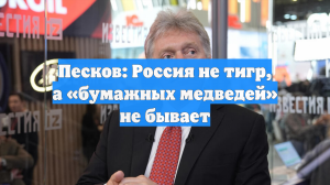 Песков: Россия не тигр, а «бумажных медведей» не бывает