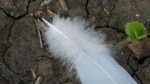 22==09==2025  ПВН  КМР   (87)