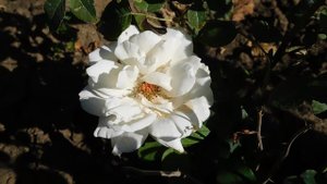 22==09==2025  ПВН  КМР   (122)