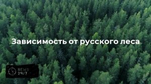 Журналист Макдональд: дефицит ресурсов заставит ЕС наладить отношения с Россией