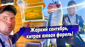 Хитрая осенняя Форель / Жаркий сентябрь