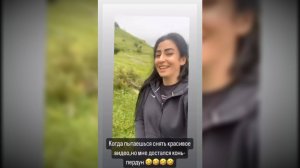 Подстава от лошадки #забавныеживотные