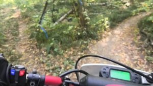 ПЕРВАЯ покатушка в лесу на AVANTIS FX 250|Погружаемся в эндуро.