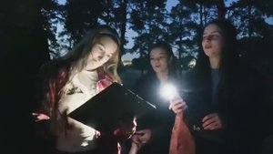 Сумеречный лес — 2025 // Видеоотчёт