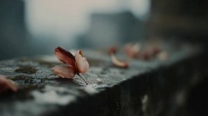 ДжиАлекс - Я помню взгляд чудесных глаз