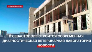 Строительство диагностической ветеринарной лаборатории в Севастополе завершено на 21%