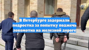 В Петербурге задержали подростка за попытку поджечь локомотив на железной дороге