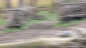 1000006317.mp4 За день до трагедии место пожара выглядело так