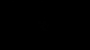 В. Гомелия. "Город влюблённых людей" - аккомпанемент