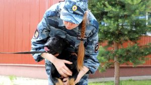 Нижегородская область впервые примет чемпионат МВД России по многоборью кинологов