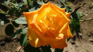 22==09==2025  ПВН  КМР   (70)