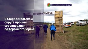 Поле – вместо спортивного зала, мешки с зерном заменили гири, а картофель стал снарядом для метания