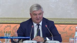 Летние мероприятия культуры в Воронежской области собрали около 8 миллионов зрителей