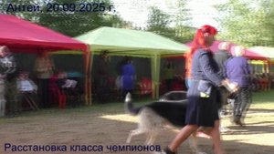 Расстановка КЧ