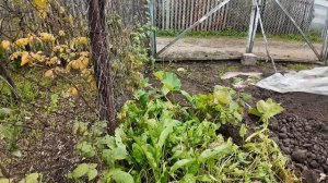 Все! Закрываем дачный сезон // Убираем, пашем, собираем урожай, отдыхаем