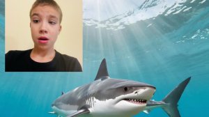 Погрузка на дно океана и я там нашел ….