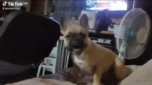 движение жизнь