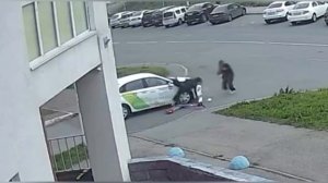 две мартышки, на самокате 🛴