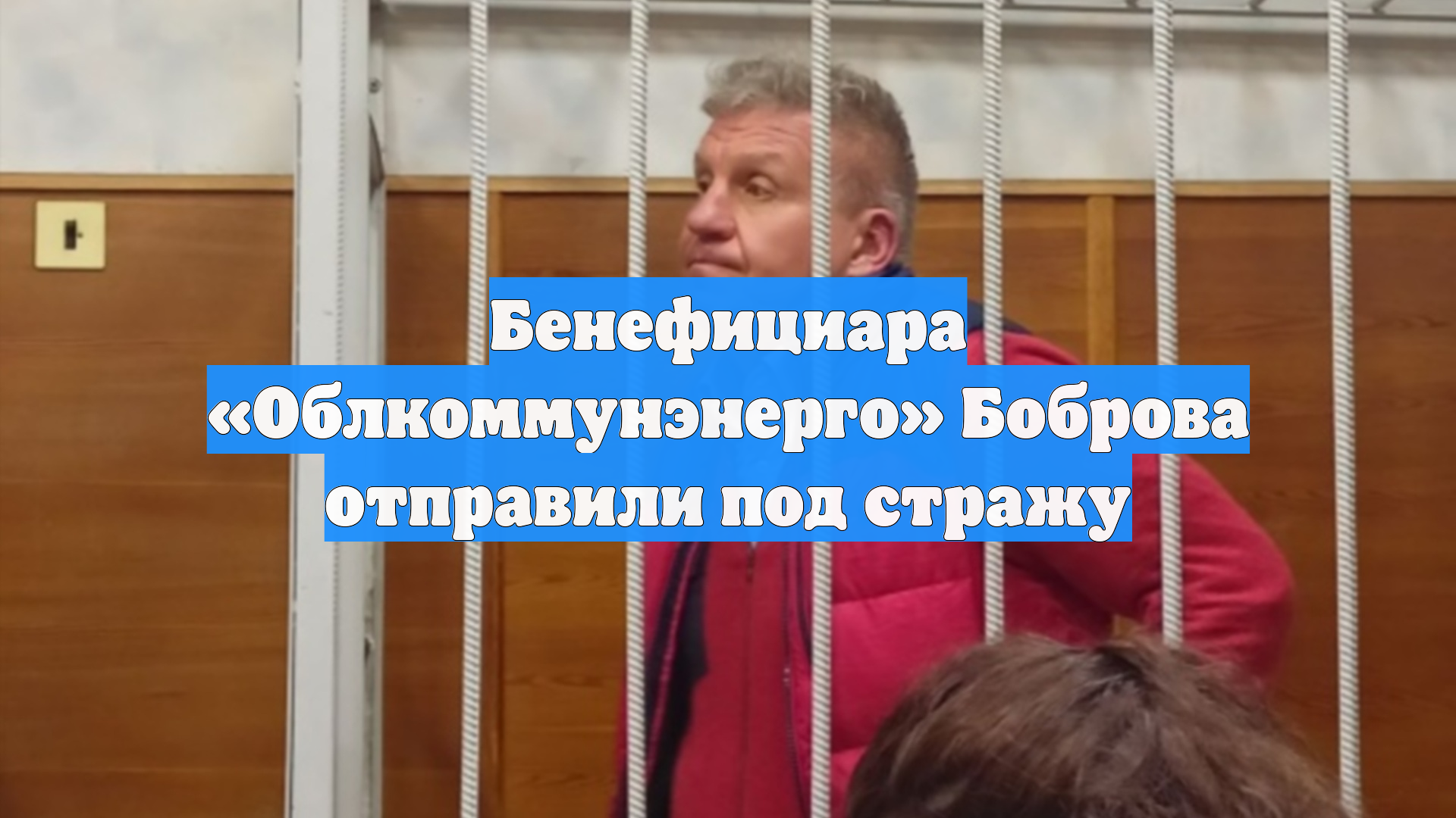 Бенефициара «Облкоммунэнерго» Боброва отправили под стражу