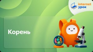 Корень. Видеоурок по биологии 6 класс
