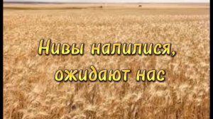 Нивы налилися, ожидают нас