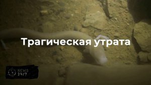 МЧС: пожар в новосибирском зоопарке полностью ликвидирован