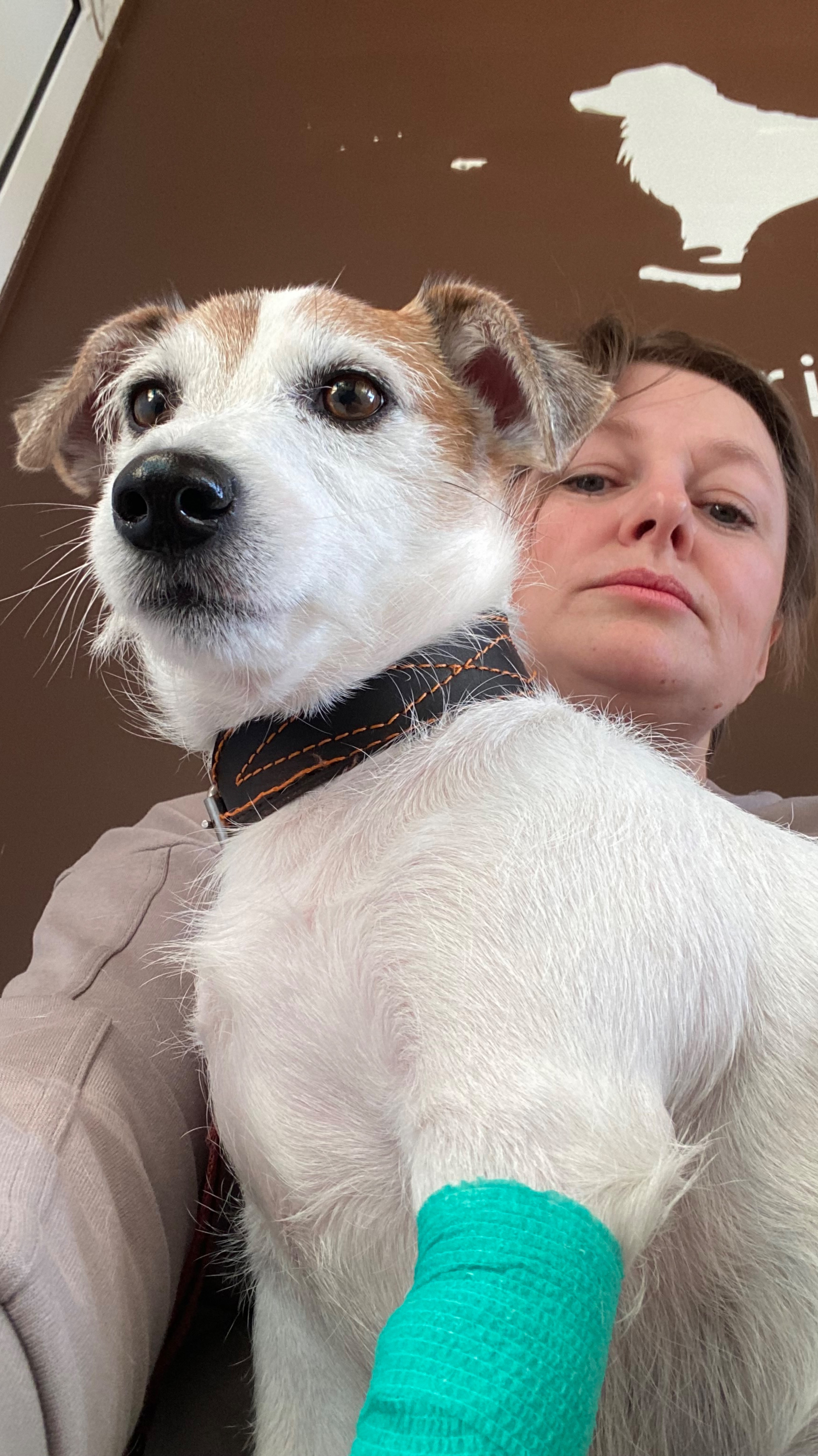 Заболел наш псЫночка🥲