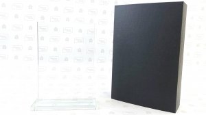 Награда из стекла DISKURA