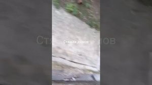 Стяжка домов