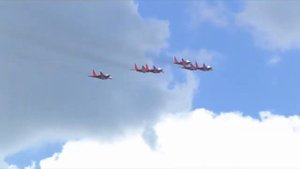 Стрижи в Кемерово